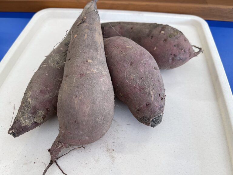 買えばいいじゃん！