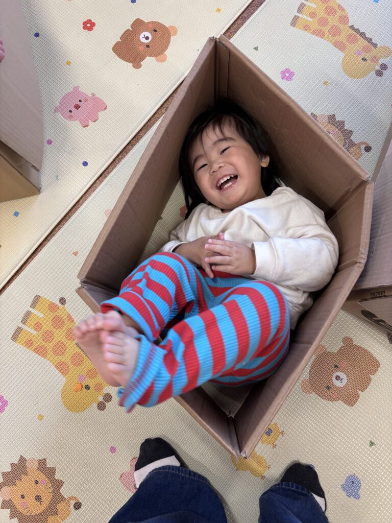 【だいち】ダンボール遊び📦