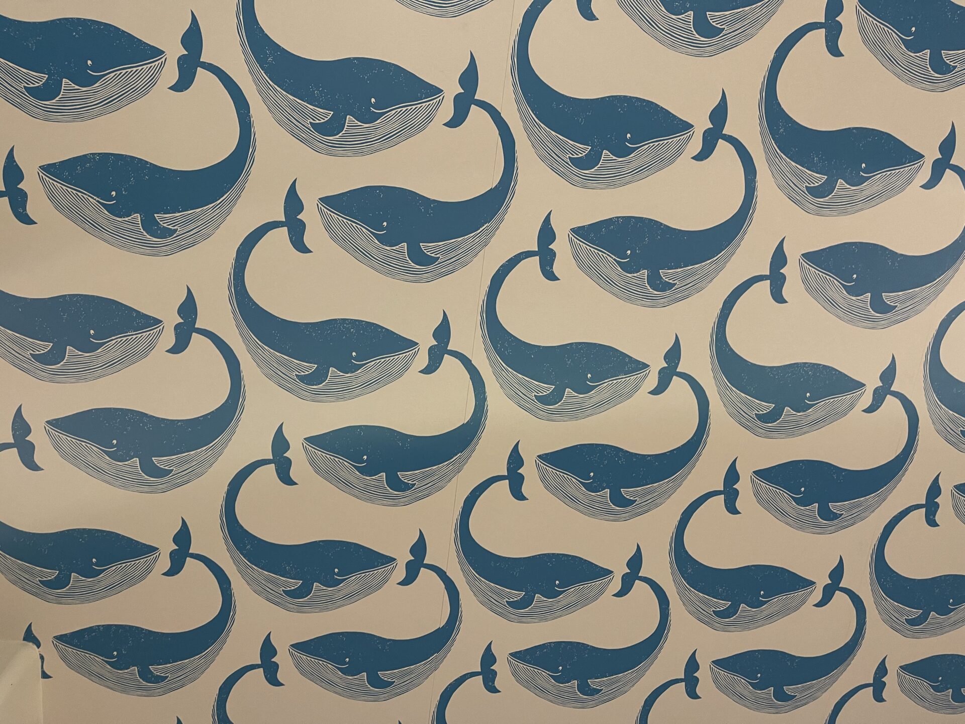 令和8年度はじまりました。