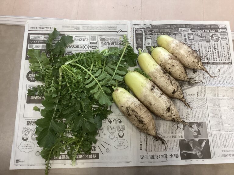 おおきくなあれ、おいしくなあれ　Part3