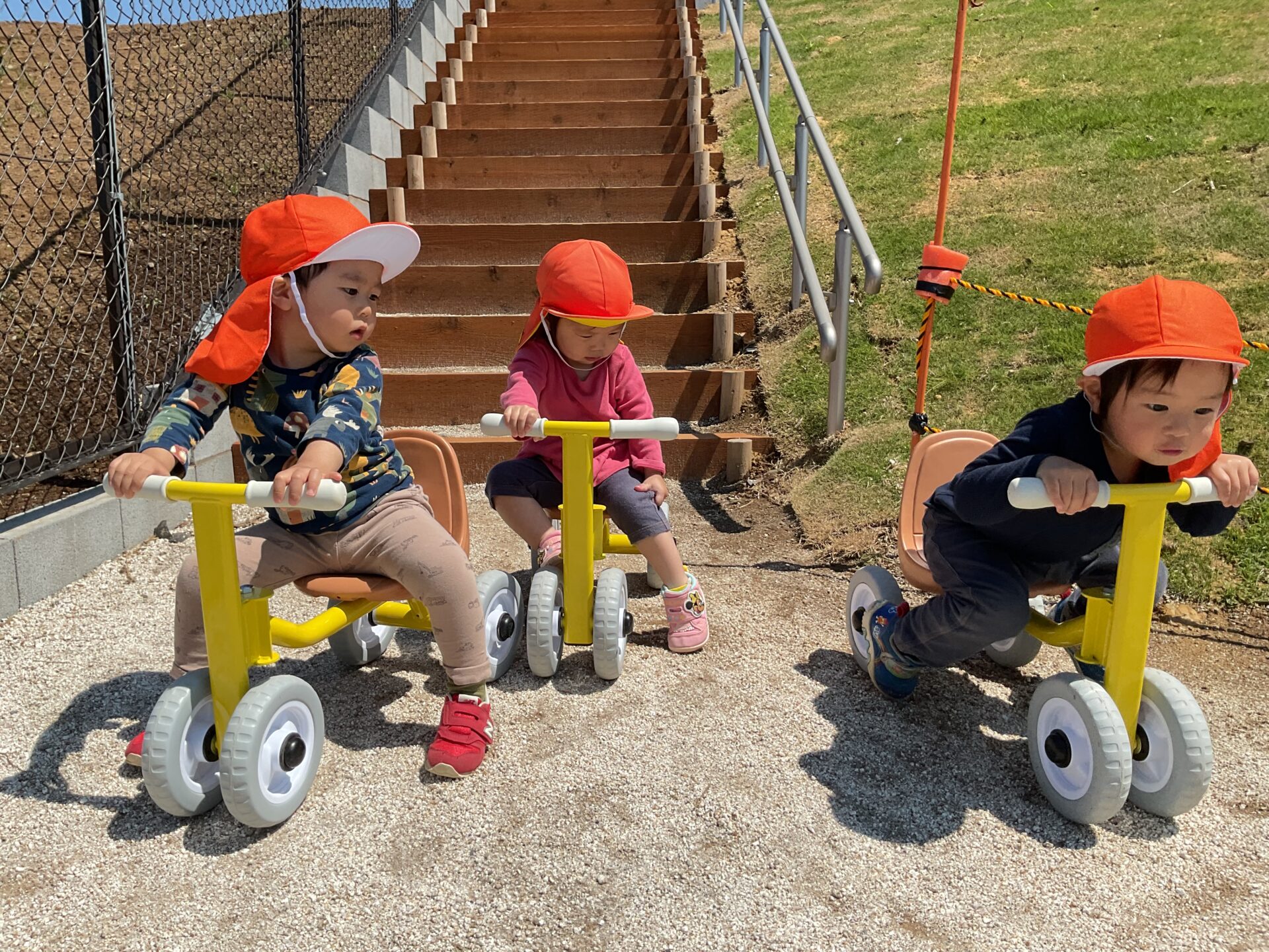 おもしろいことなんでもくじら級