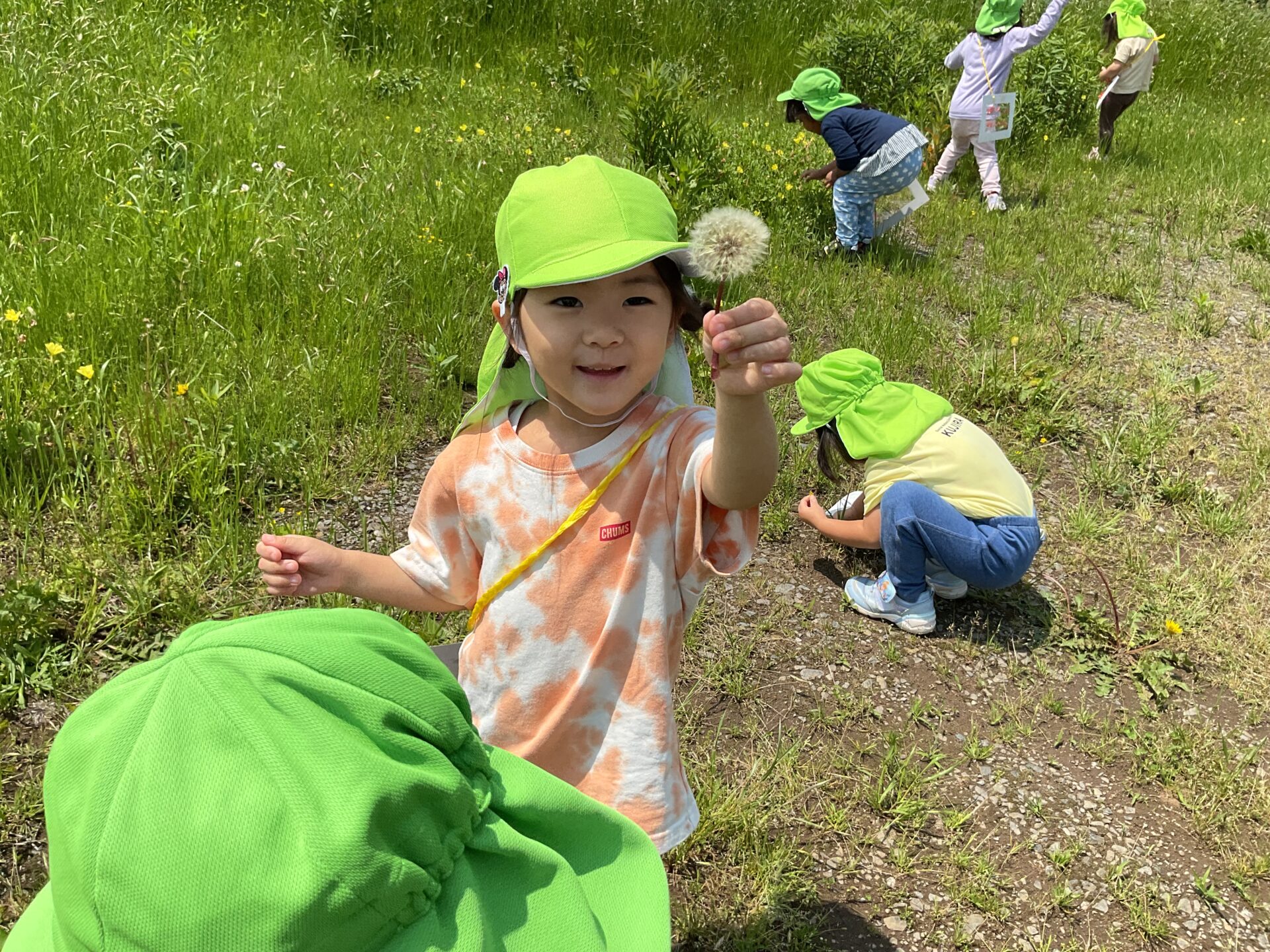 おもしろいことなんでもくじら級