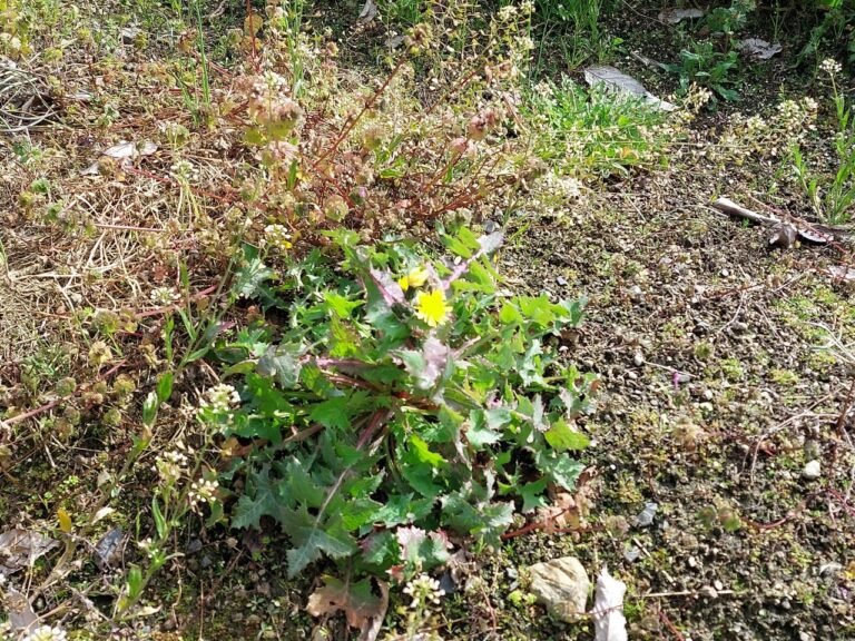 こんなことができるよ♪【０歳児】