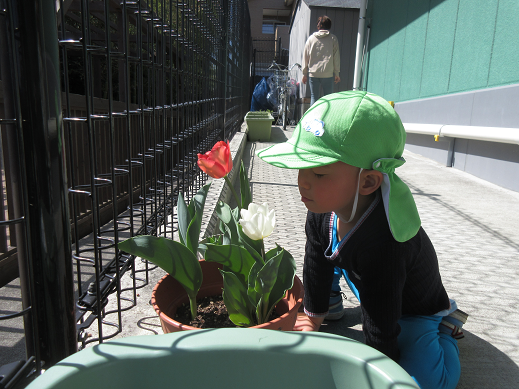 春・春・春 み~つけた🌸