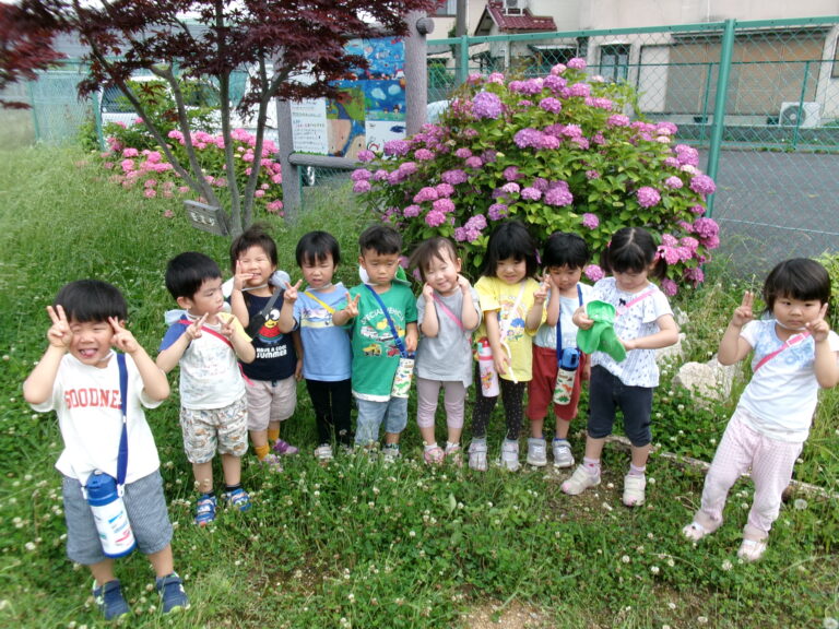 色んな紫陽花見～つけた【3歳児にじチーム】