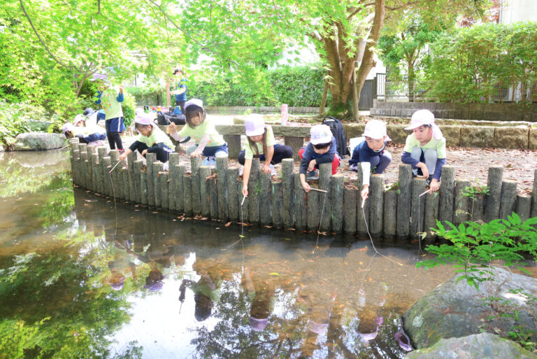 ザリガニ博士への道、第2弾！ザリガニ釣りへ行ってきたよ！【5歳児くじらチーム】