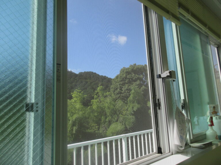 窓からのおとずれ