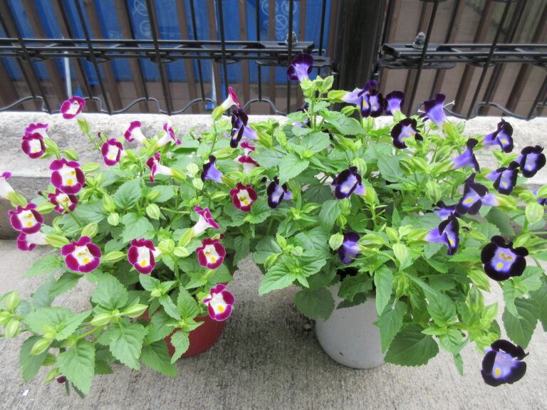 心温まる贈り物・・・♡