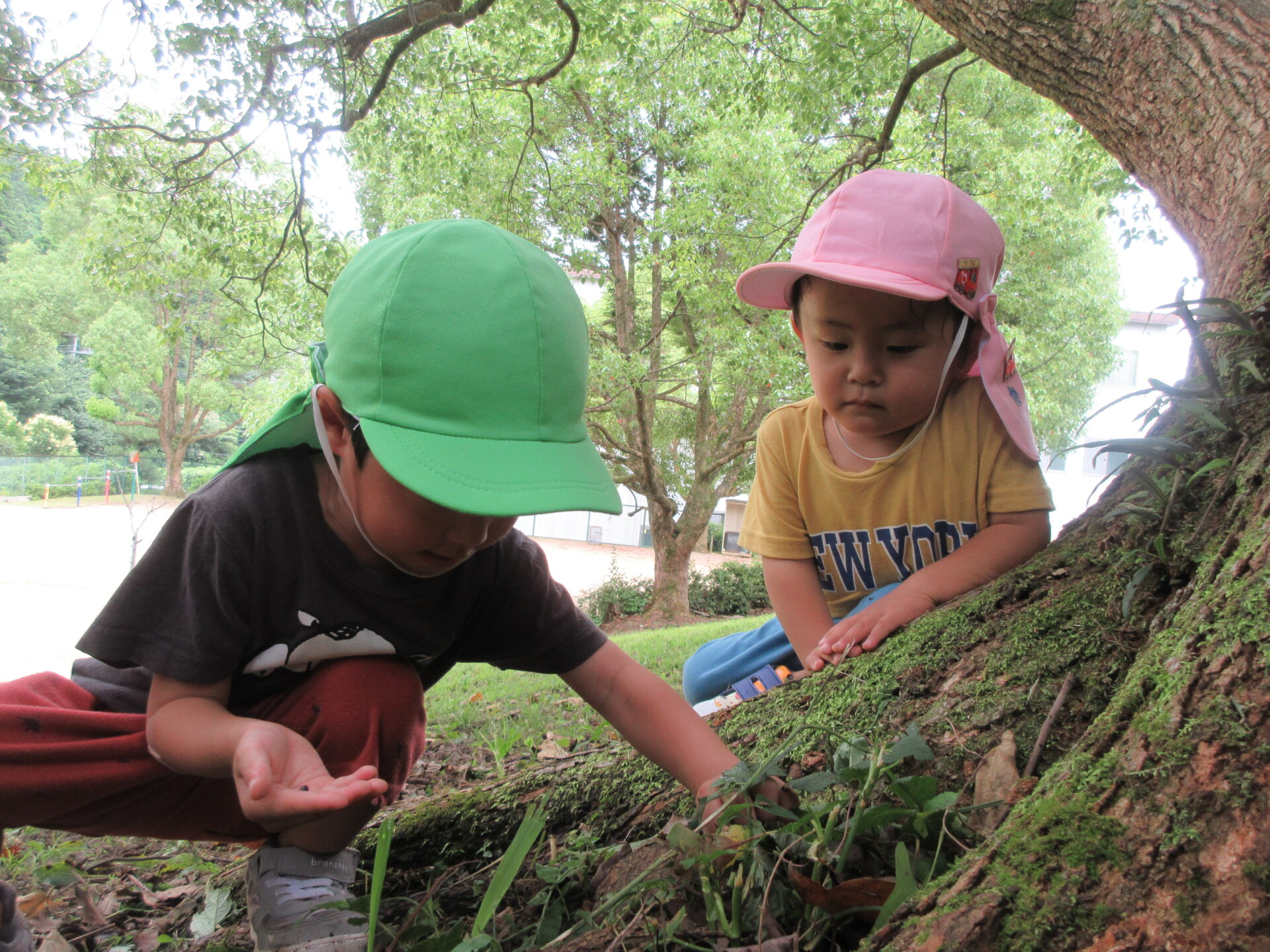 WISHくじらの願い