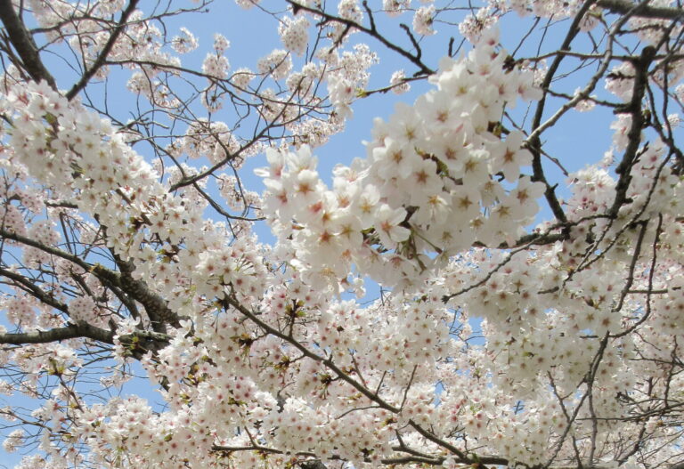 お帰りなさい(*^^*) Part.Ⅱ