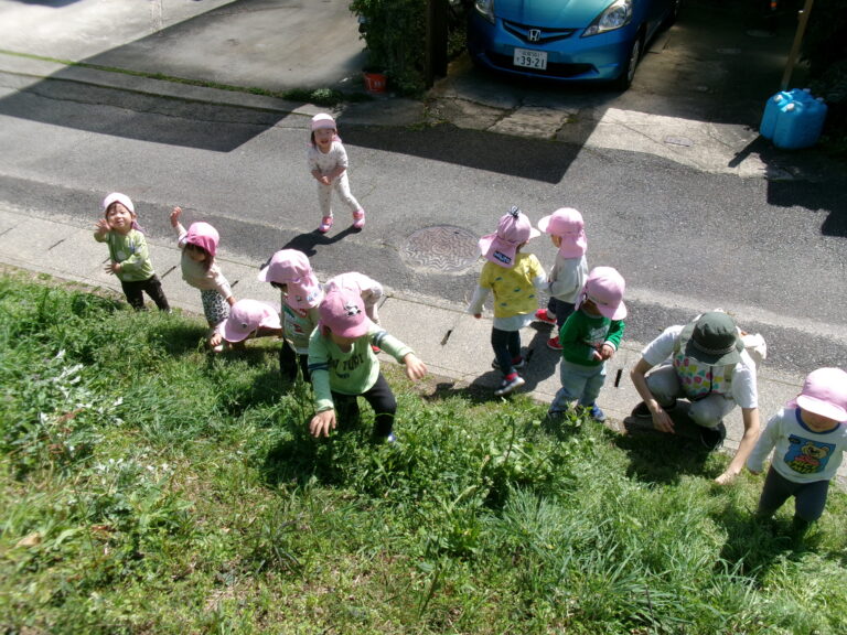 ダンゴムシのコロちゃんと♪【2歳児 あめチーム】