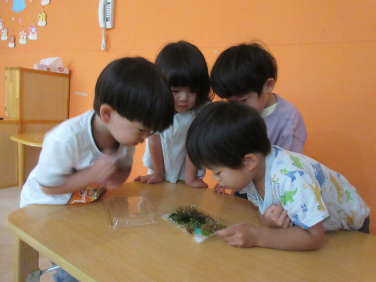 ピカピカしてる～💡