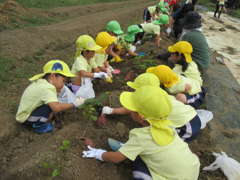 大きなおいも取れたよ！【3歳児 にじチーム】