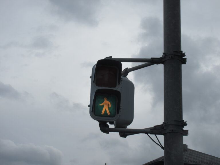 『青になぁれ！』【5歳児 くじらチーム】