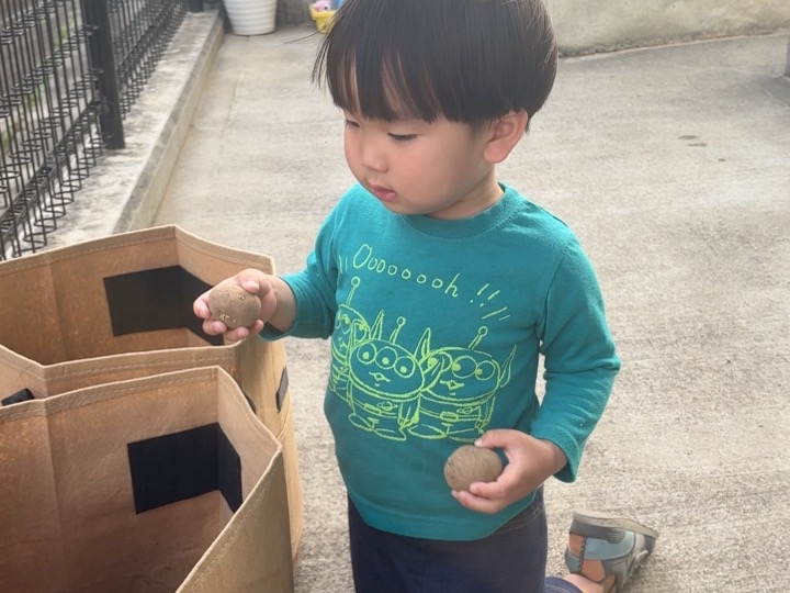 おいしくなるよって聞こえたよ【２歳児 あめチーム】