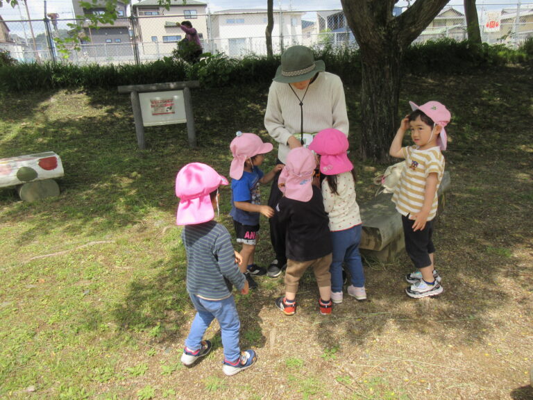 このお花はどーこだ？🌼【３歳児 にじチーム】