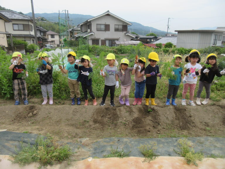 何作るの～！？【4歳児 そらチーム】