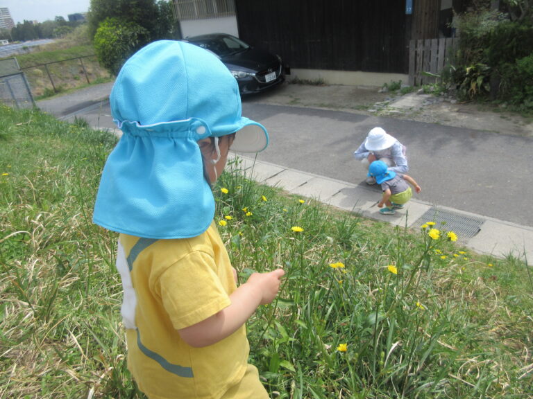 ほらほら！見ーつけた！【2歳児 あめチーム】