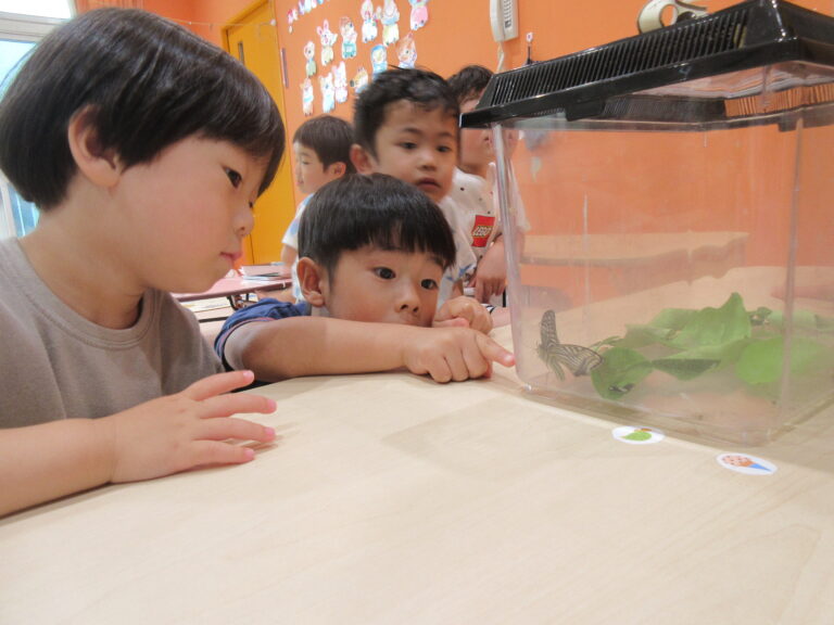 ちょうちょになったよ♪🦋【3歳児 にじチーム】