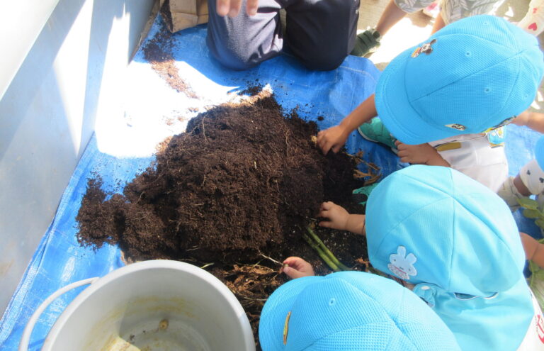 おいもかわいい～♪ おいもおいしい～🍴【２歳児 あめチーム】