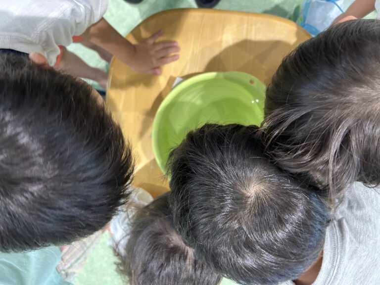 ようこそ、石山くじら保育園へ！