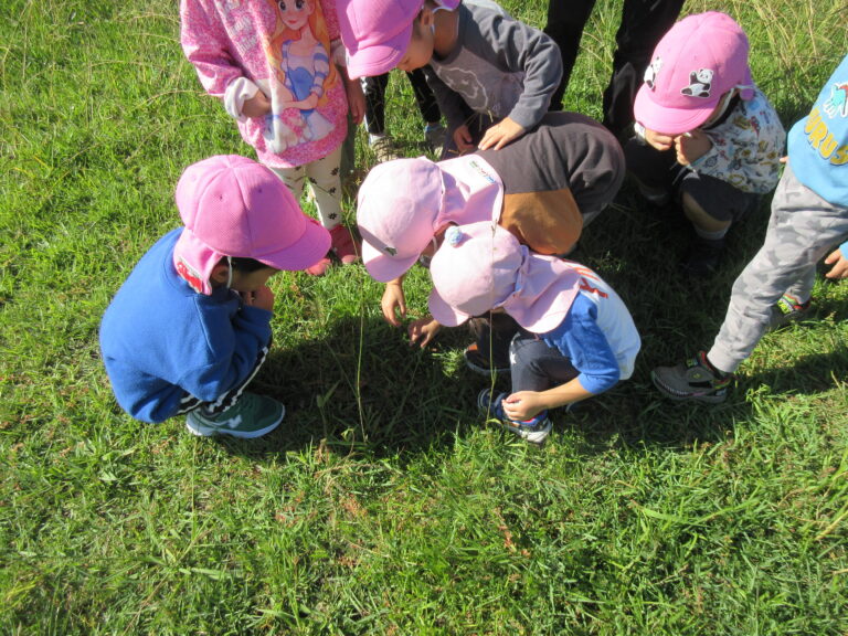 やっぱり大好き！【3歳児 にじチーム】
