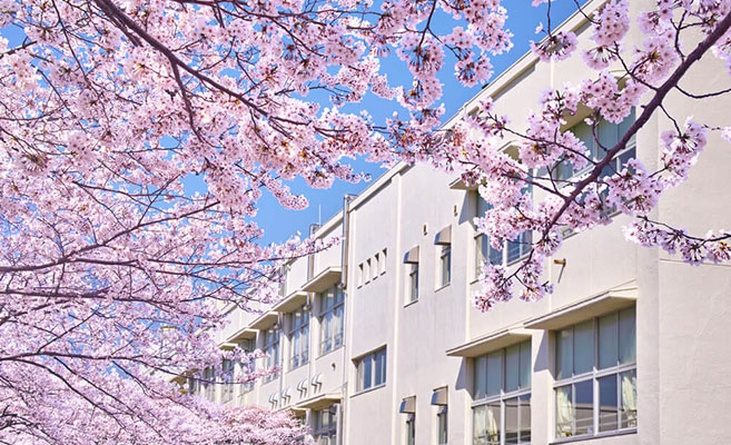 おかえり！！ Part.2 🌸