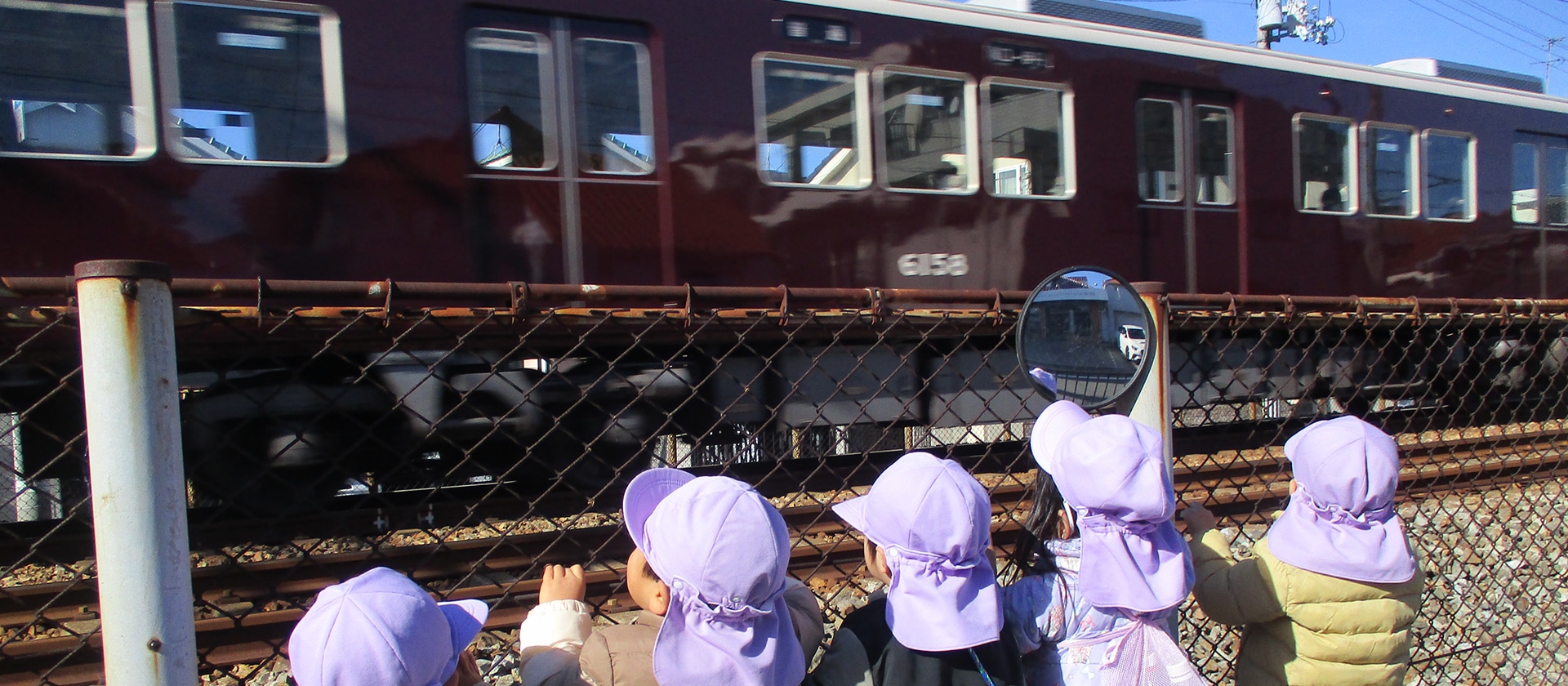 おもしろいことなんでもくじら級