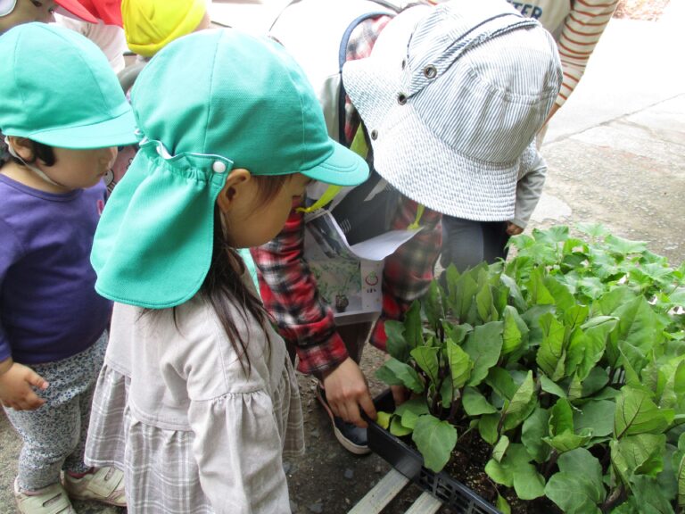 苗を買いに行ったよ（１・２歳児）