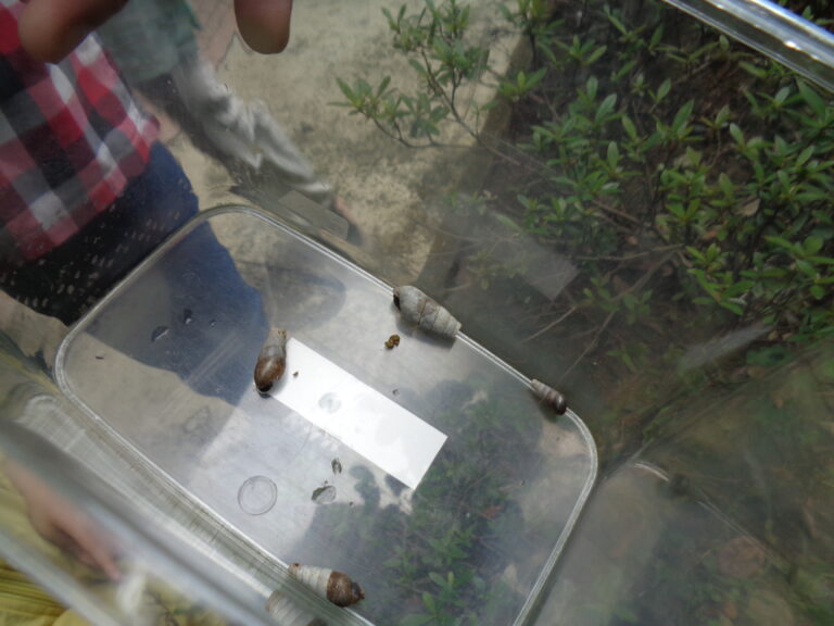 雨の日も楽しむよ♪（０．１歳児　うみ・だいち組）