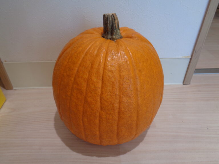 🎃巨大かぼちゃがやってきた!