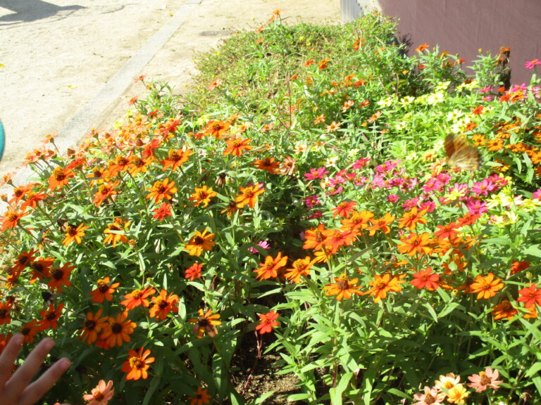 みんなで遊ぶと楽しいね😊(2歳児 あめ組)