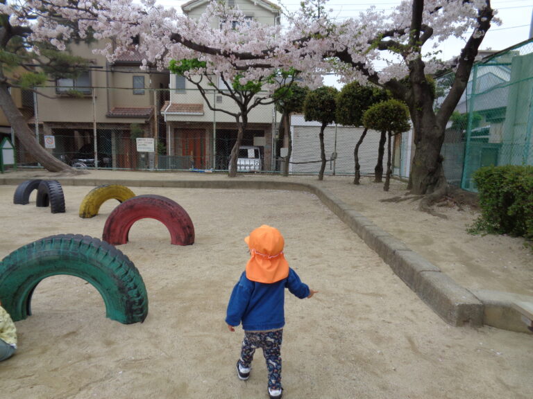 桜満開🌸きれいだね😊(1歳児 だいち組)