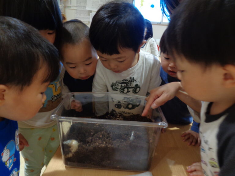 カブトムシがやってきた!