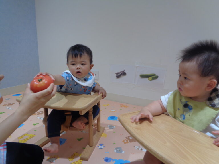 お野菜に触れよう!(0歳児 うみぐみ)