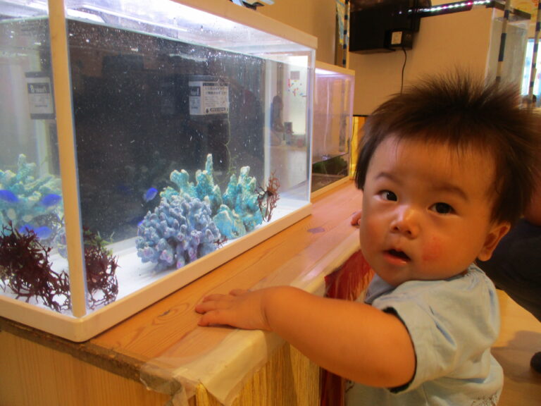 笑顔があふれた移動水族館✨