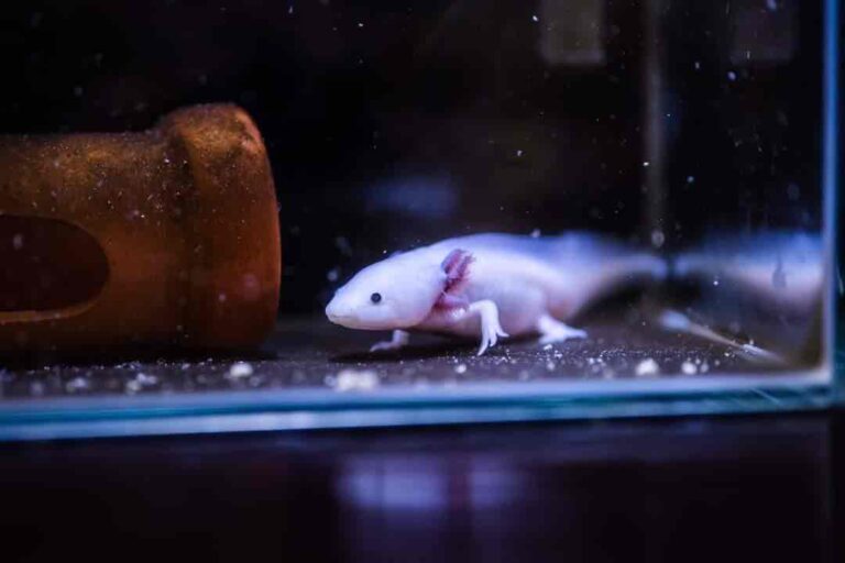 いよいよ明後日２７日は！！