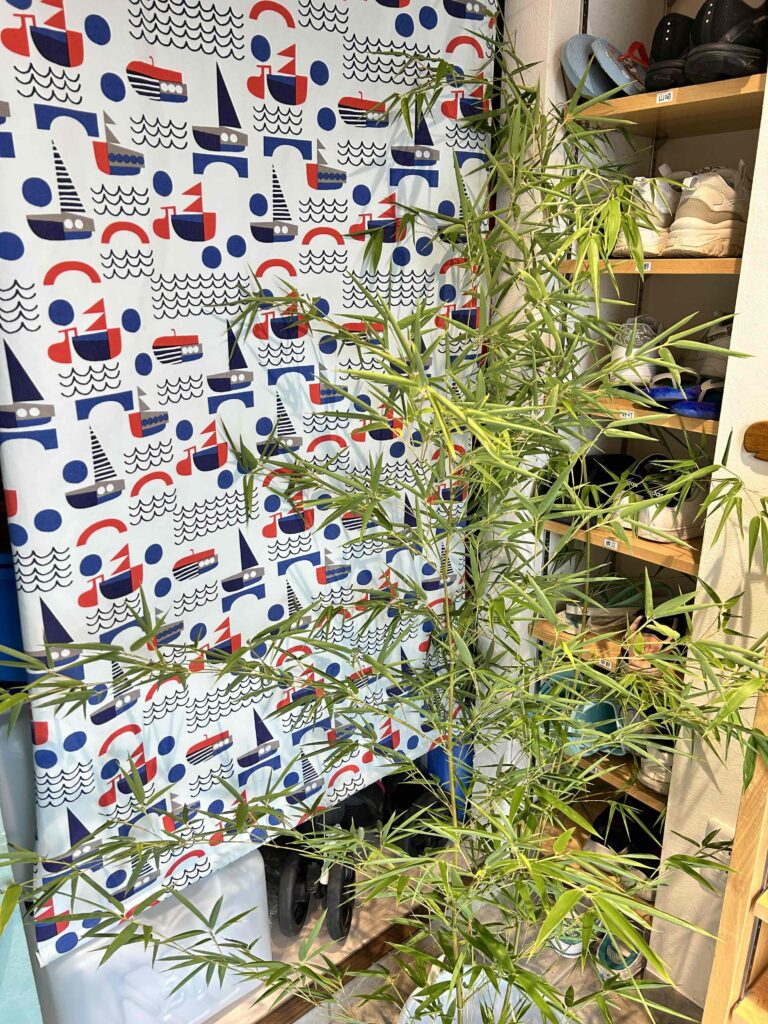 ~笹を長持ちさせる方法☆~