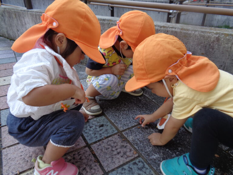 どんぐり大好き🍂(1歳児 だいち組)