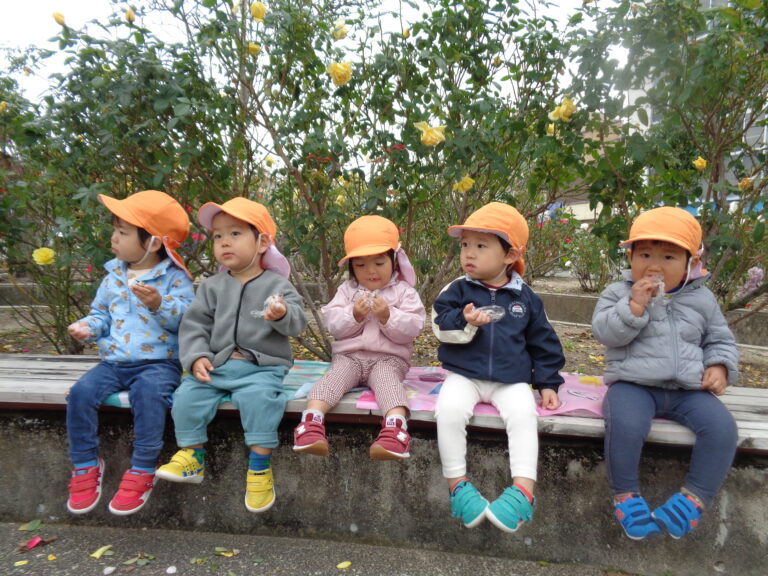 自分で作ったおにぎり持ってピクニック🌞（1歳児　だいち組）