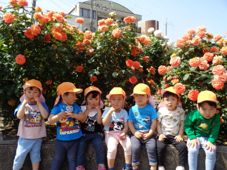 バラを見に行きました🌹（2歳児　あめぐみ）