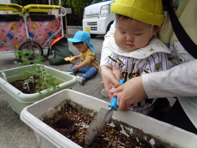 立派に育ちますように🌟(０歳児　うみ組)