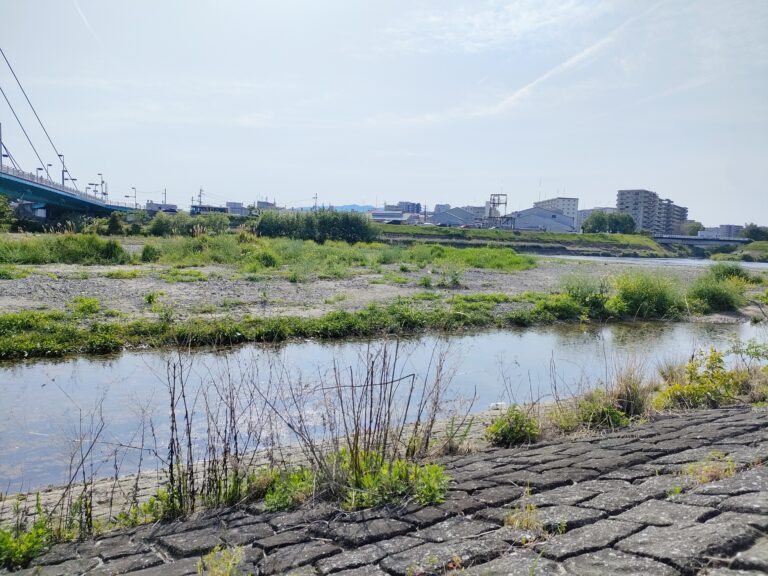 とある保育士の休日～GWの一日～