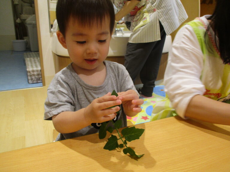 おおきくなあれ✨（１歳児　だいちぐみ）