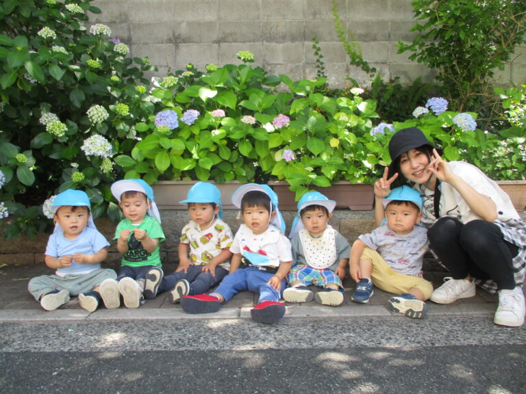 色とりどりのあじさい🌺（1歳児　だいちぐみ）
