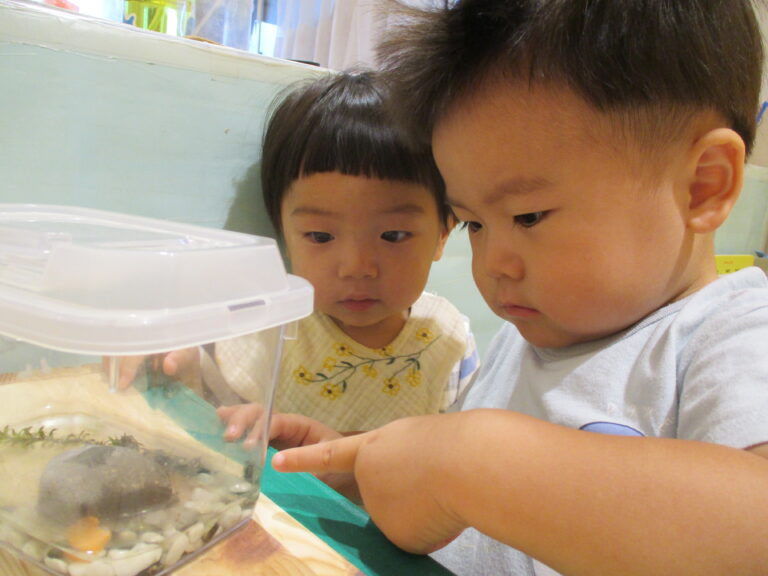 おたまちゃん、ありがとう✨（1歳児　だいちぐみ）