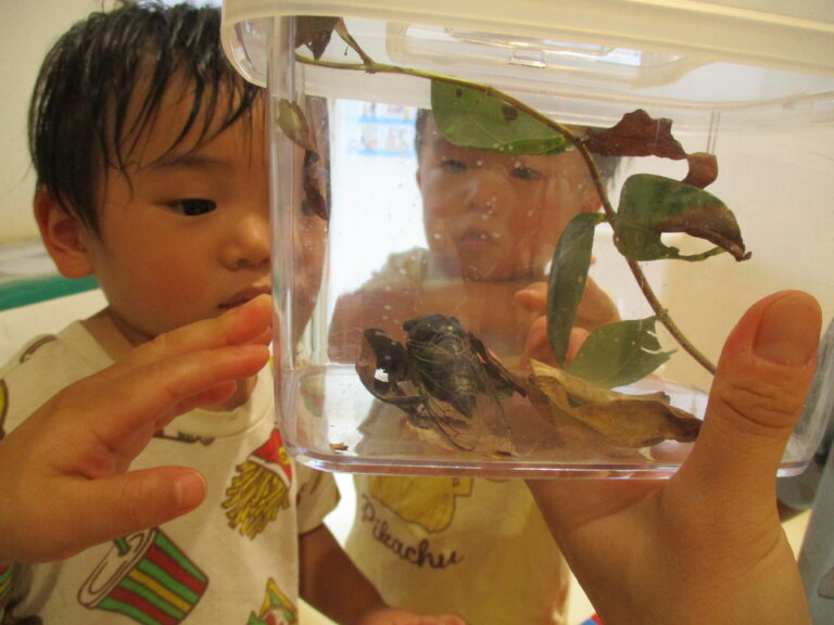 やっと会えたね✨（1歳児　だいちぐみ）