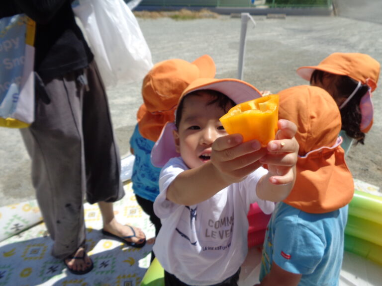 夏野菜って楽しいな🍅🌽（2歳児　あめぐみ）