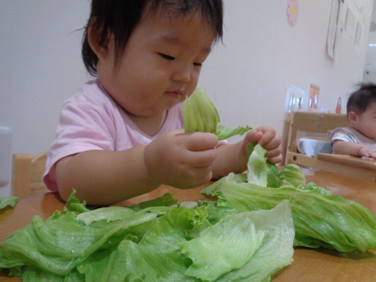 パリパリ　ぐちゅぐちゅ　（０歳児　うみ組）