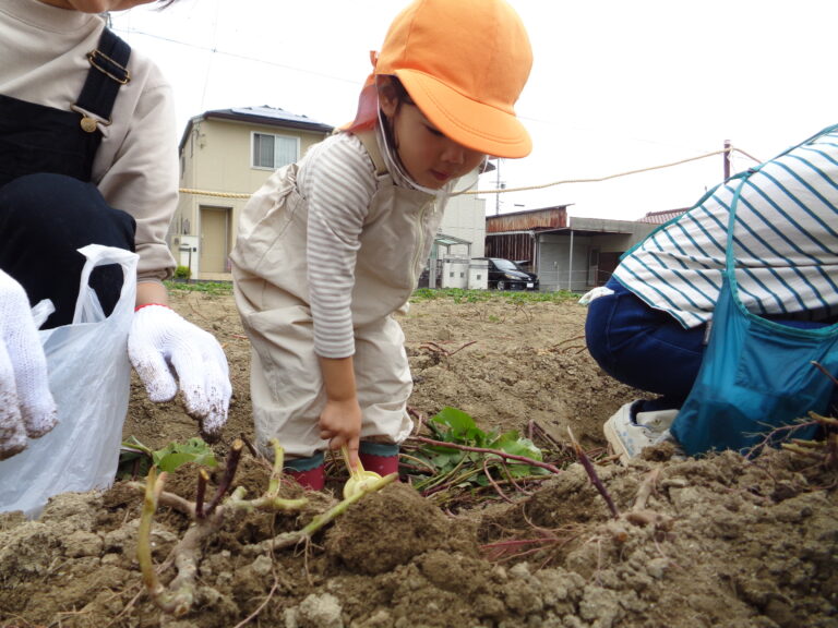 みんなでしゅっぽーーん！🍠（全園児）
